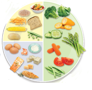 Healthy Plate from HDL on A Teacher's Best Friend