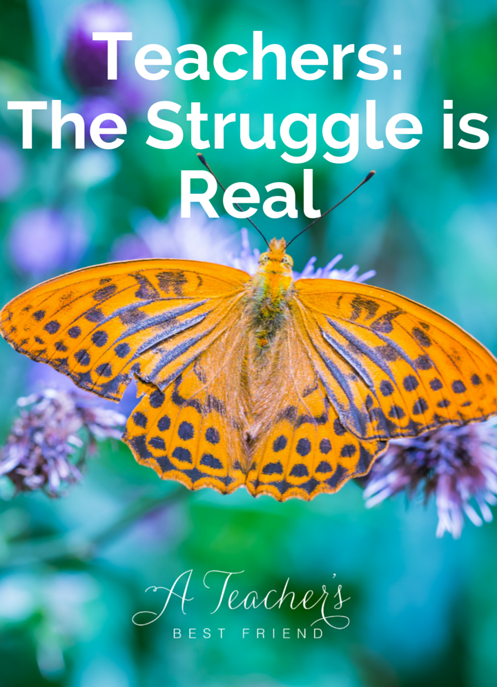Teachers- The Struggle is Real - Blog Post from A Teacher's Best Friend