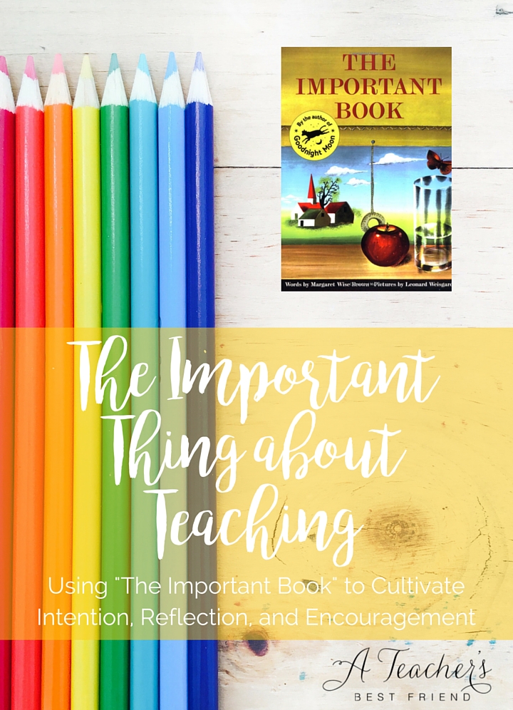 The Important Thing about Teaching